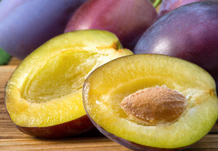 Lorem ipsum dolor sit amet